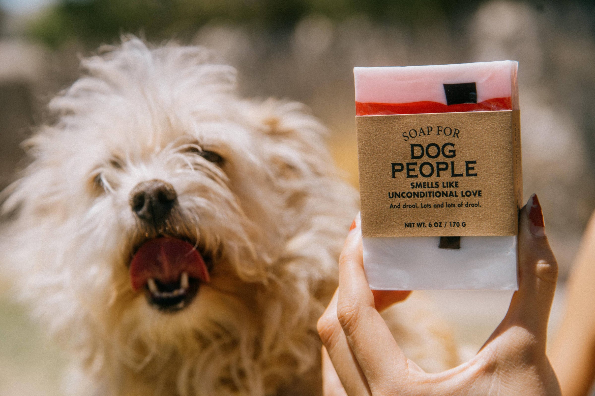 Fun & Quirky Gifts