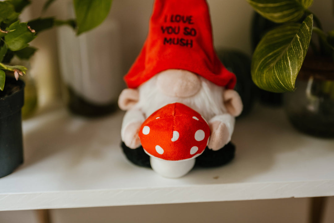 Love You So Mush  - Gnome Plush