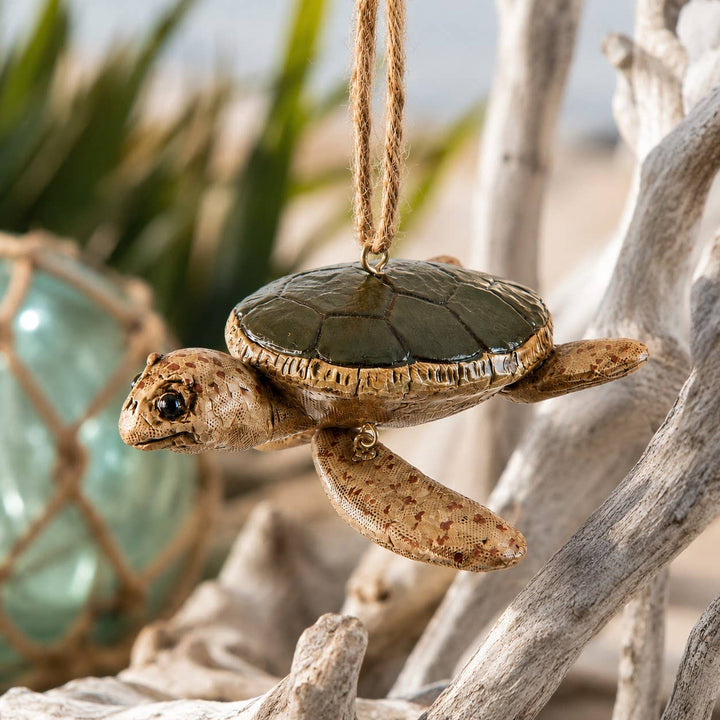 Sea Turtle Ornament - Bert Anderson Ornament