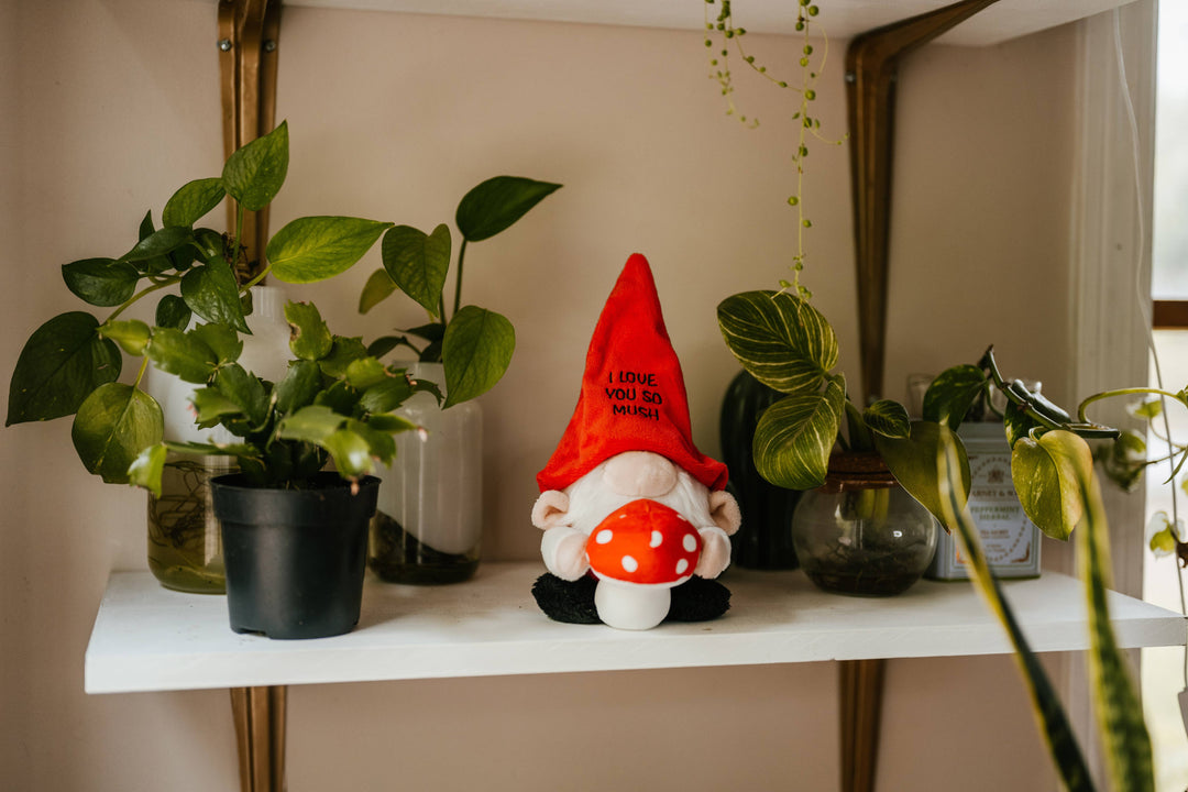 Love You So Mush  - Gnome Plush